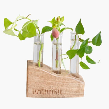 Gardener Test Tube Planter with Wooden Holder, Table Top Mango Wood Planter for Living Room, Office & Home Decor (Set of 1)