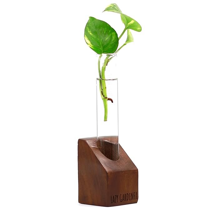 Timber Grove Solo Mini Sheesham | Test Tube Planter Home Decor Wooden Plant Stand for Table top, Desktop, Living Room