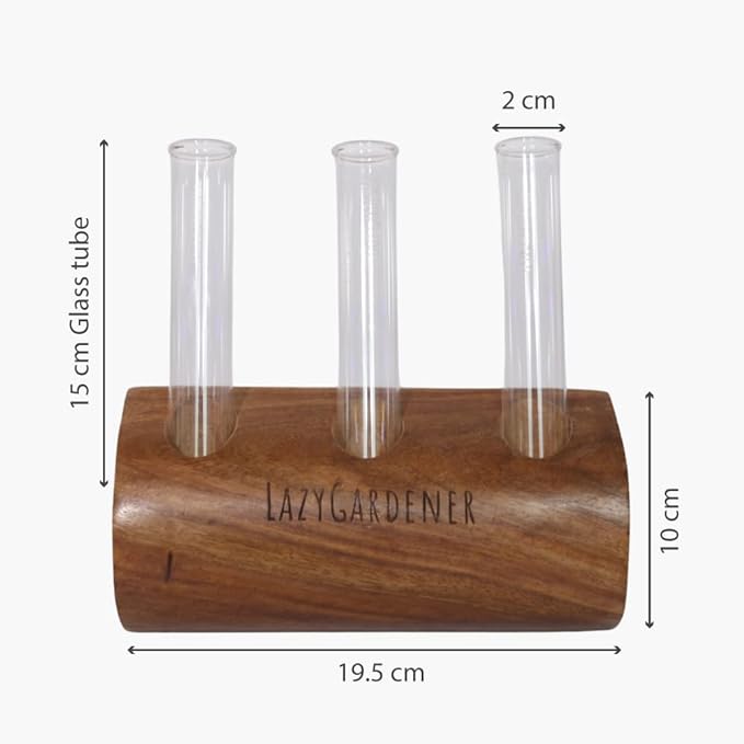 Test Tube Planter with Wooden Stand for Living Room, Bedroom, Home, Office | Timber Grove Wall Mount Planter, Set of 2 (Sheesham Wood)