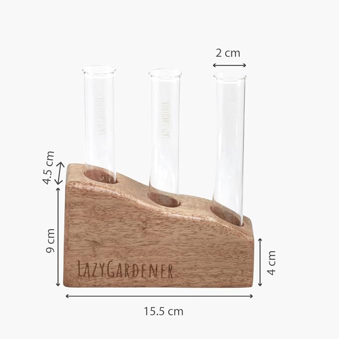 Gardener Test Tube Planter with Wooden Holder, Table Top Mango Wood Planter for Living Room, Office & Home Decor (Set of 1)