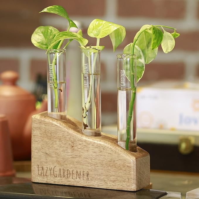 Gardener Test Tube Planter with Wooden Holder, Table Top Mango Wood Planter for Living Room, Office & Home Decor (Set of 1)