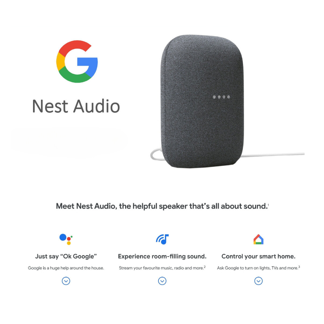 Google Nest Audio for corporate gift for employee